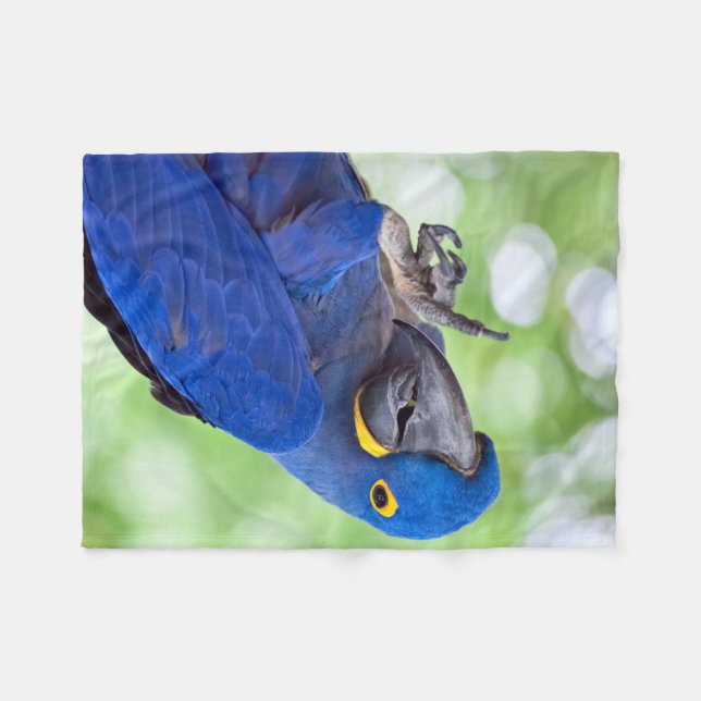Hyacint Macaw Bird Fleecefilt (Framsidan (Horisontell))