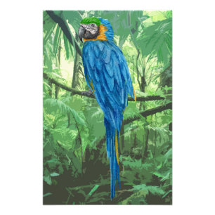 Hyacint Macaw design Foto Utvidgning