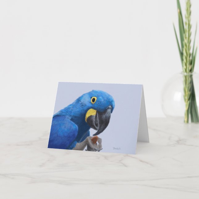 Hyacint Macaw Encouragement JW Tack Kort (Framsida)