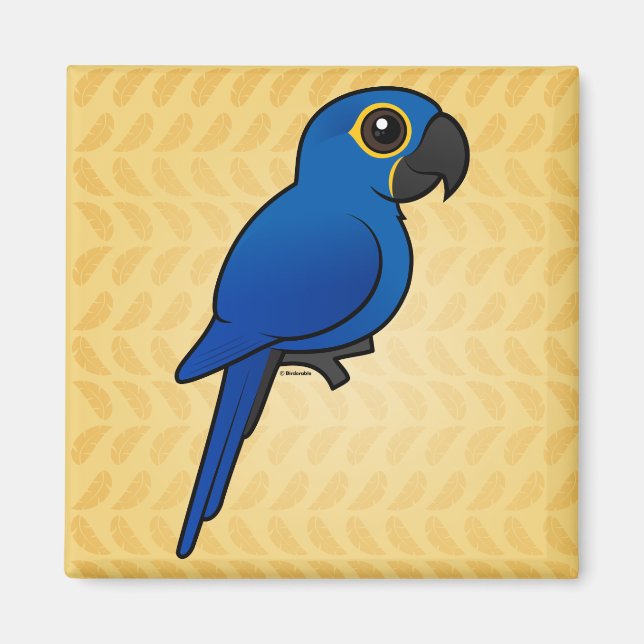 Hyacint Macaw Magnet (Framsidan)