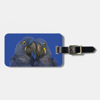 Hyacint Macaw Parrot Bird Sällsynt Blue Bagagebricka
