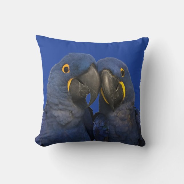 Hyacint Macaw Parrot Bird Sällsynt Blue Kudde (Framsida)
