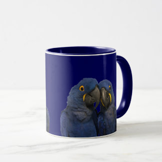 Hyacint Macaw Parrot Bird Sällsynt Blue Mugg