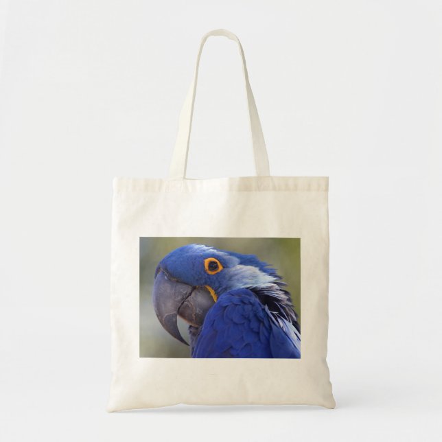 Hyacint Macaw Tygkasse (Framsidan)