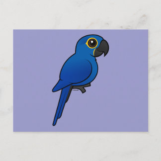 Hyacint Macaw Vykort