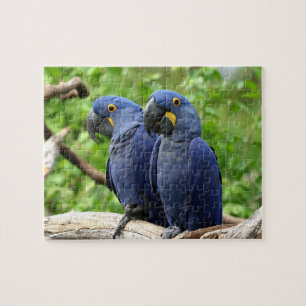 Hyacint Macaws Pussel