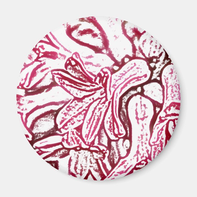 Hyacint Rosa redigerad Magnet (Framsidan)