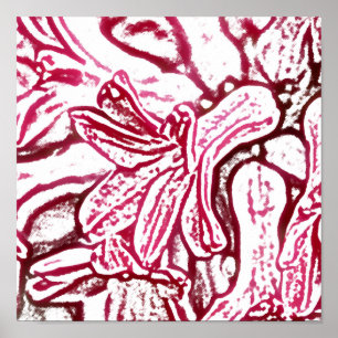 Hyacint Rosa redigerad Poster