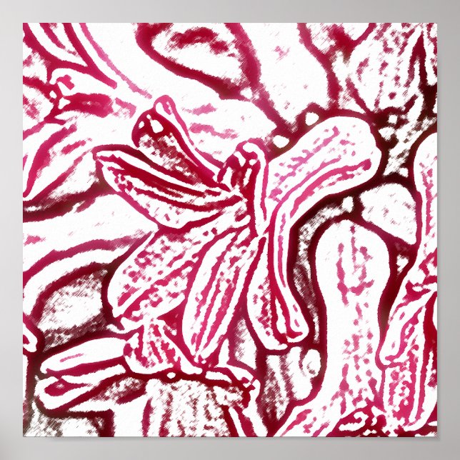 Hyacint Rosa redigerad Poster (Framsidan)