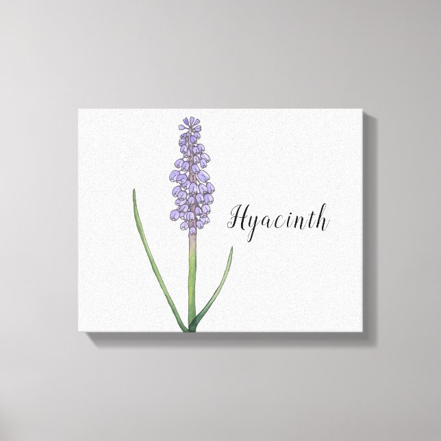 Hyacintblomma Vattenfärg Canvastryck (Framsida)