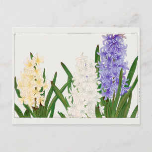 Hyacinth av Tanigami Konan Vykort