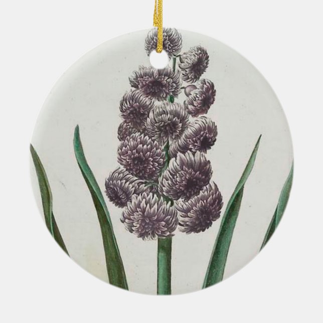 Hyacinth Flower (av Johann Michael Seligmann) Julgransprydnad Keramik (Baksidan)