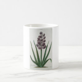 Hyacinth Flower (av Johann Michael Seligmann) Kaffemugg