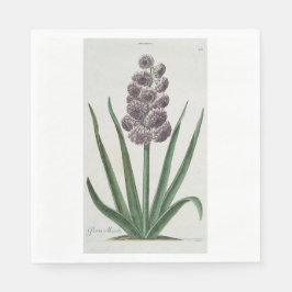 Hyacinth Flower (av Johann Michael Seligmann) Pappersservett