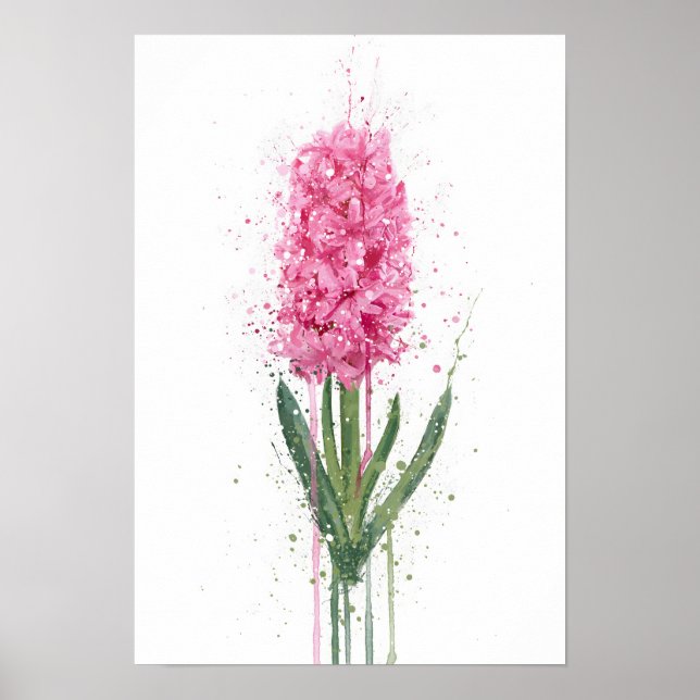 Hyacinth Poster (Framsidan)
