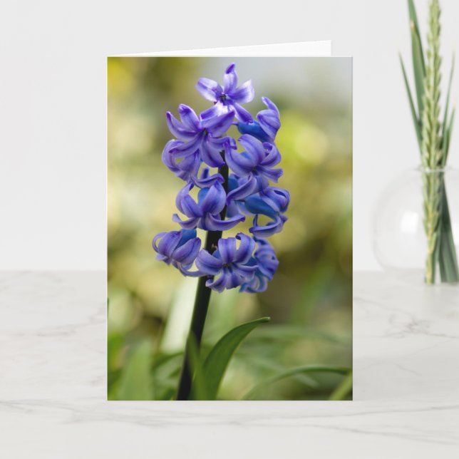 Hyacinthälsningkort Kort (Framsida)