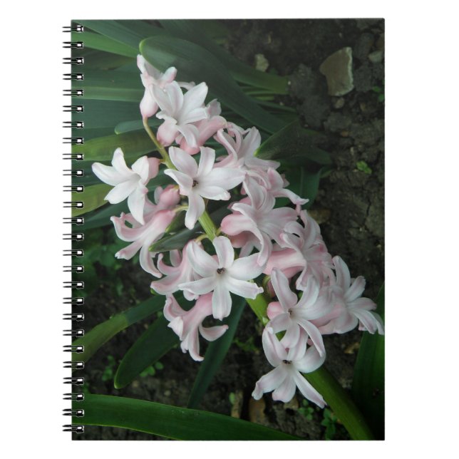Hyacinths bärbara dator anteckningsbok (Framsidan)