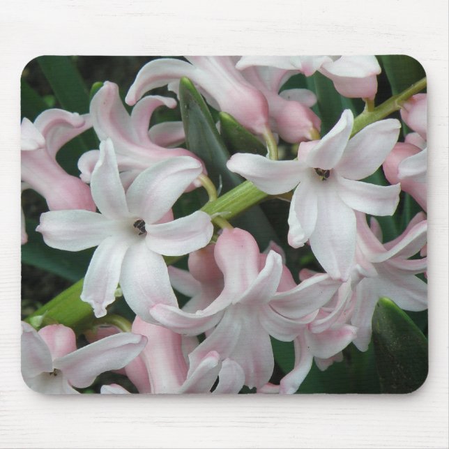 Hyacinths Mousepad Musmatta (Framsidan)