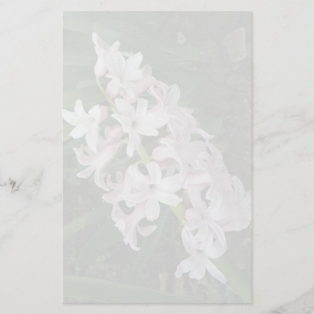 Hyacinths Stationeri Brevpapper (Framsida)