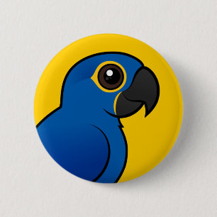 HyacintMacaw Knapp