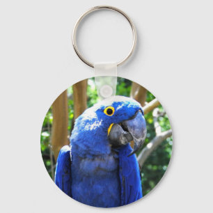 HyacintMacaw Nyckelring