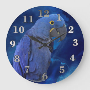 HyacintMacaw Stor Klocka