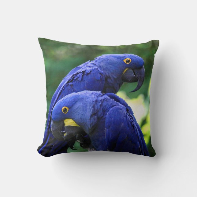 HyacintMacaws Kudde (Framsida)