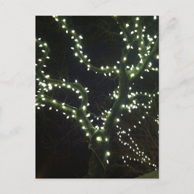 Hyannis Lights Postcard Vykort (Framsida)