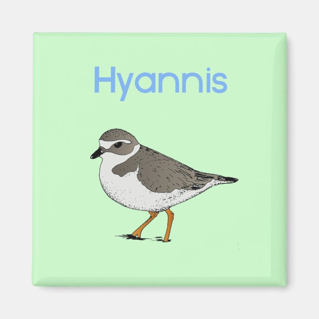 hyannis-plover (oförändrat, eftersom det är ett eg magnet (Framsidan)