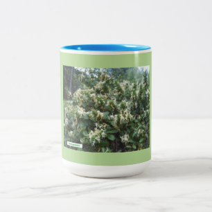 Hybrid Honeysuckle Blooms Två-Tonad Mugg