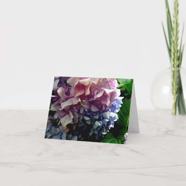 Hybrid Hydrangea Notecard Kort (Framsida)