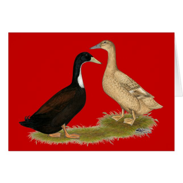 Hybrid Lutning Anka OBS Kort (Framsidan Horizontal)