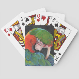 Hybrid- Macaw Casinokort