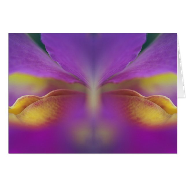 Hybrid orchid, Florida 2 Hälsningskort (Framsidan Horizontal)