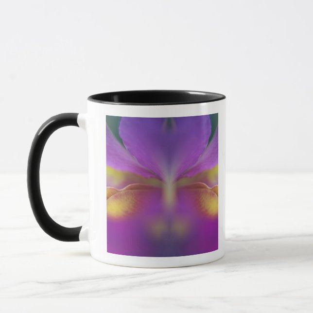 Hybrid orkidé, Florida 2 Mugg (Vänster)