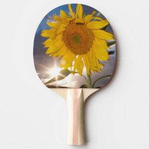 Hybrid solros som vajar i vinden vid skymning pingisracket