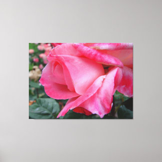 Hybrid Tea Ro Barbara Bush på Canvas