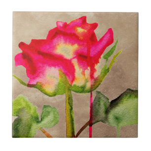 Hybrid Tea Ro vattenfärgsmodern blomart Kakelplatta