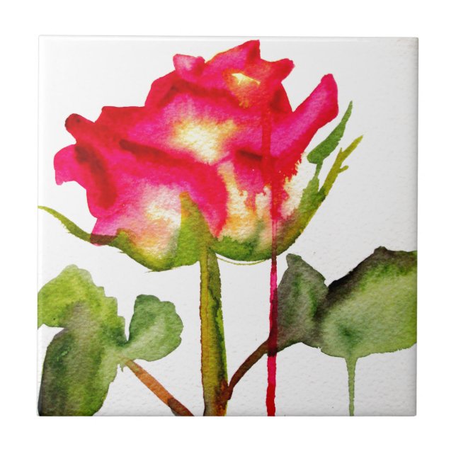 Hybrid Tea Ro vattenfärgsmodern blomart Kakelplatta (Framsidan)