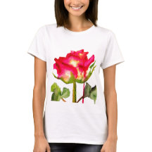 Hybrid Tea Ro vattenfärgsmodern blomart