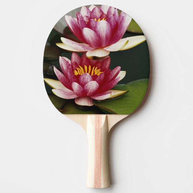 Hybrid vattenliljor pingisracket (Framsidan)