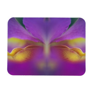 Hybridorkidé, Florida 2 Magnet