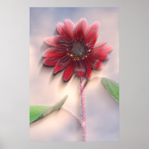 Hybridsolrosblomma i vinden poster