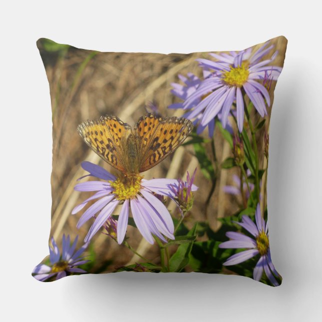 Hydaspe fritillaria på lila asterblommor kudde (Framsida)