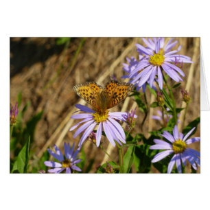 Hydaspe Fritillary on Lila Aster Flowers Hälsningskort