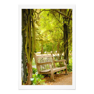 Hyde Park - Park Bench Fototryck