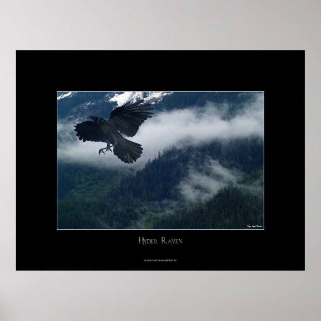 Hyder Raven Wildlife Art Nature Poster (Framsidan)