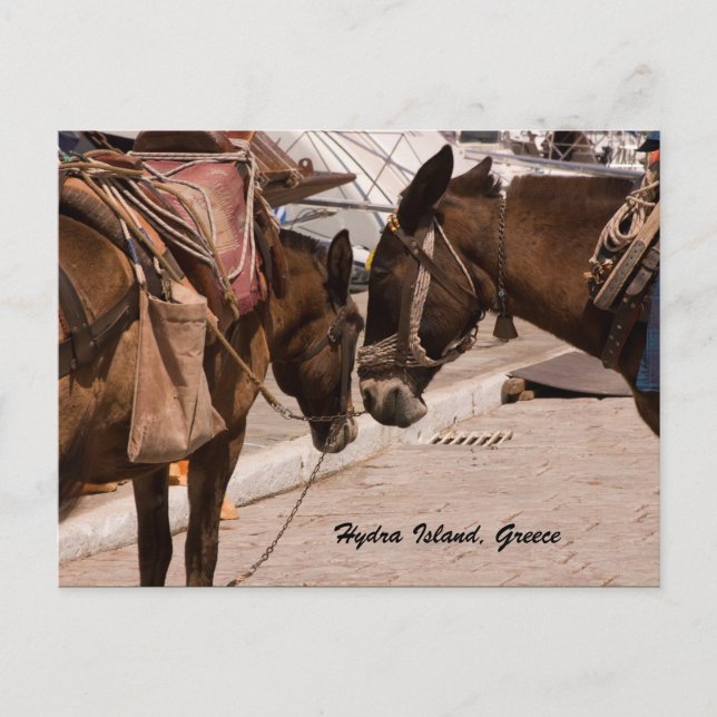 Hydra Island, Grekland Vykort (Framsida)