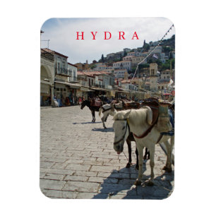 Hydra ö-hästar visa kylmagnet magnet