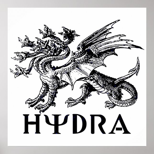 Hydra Poster (Framsidan)